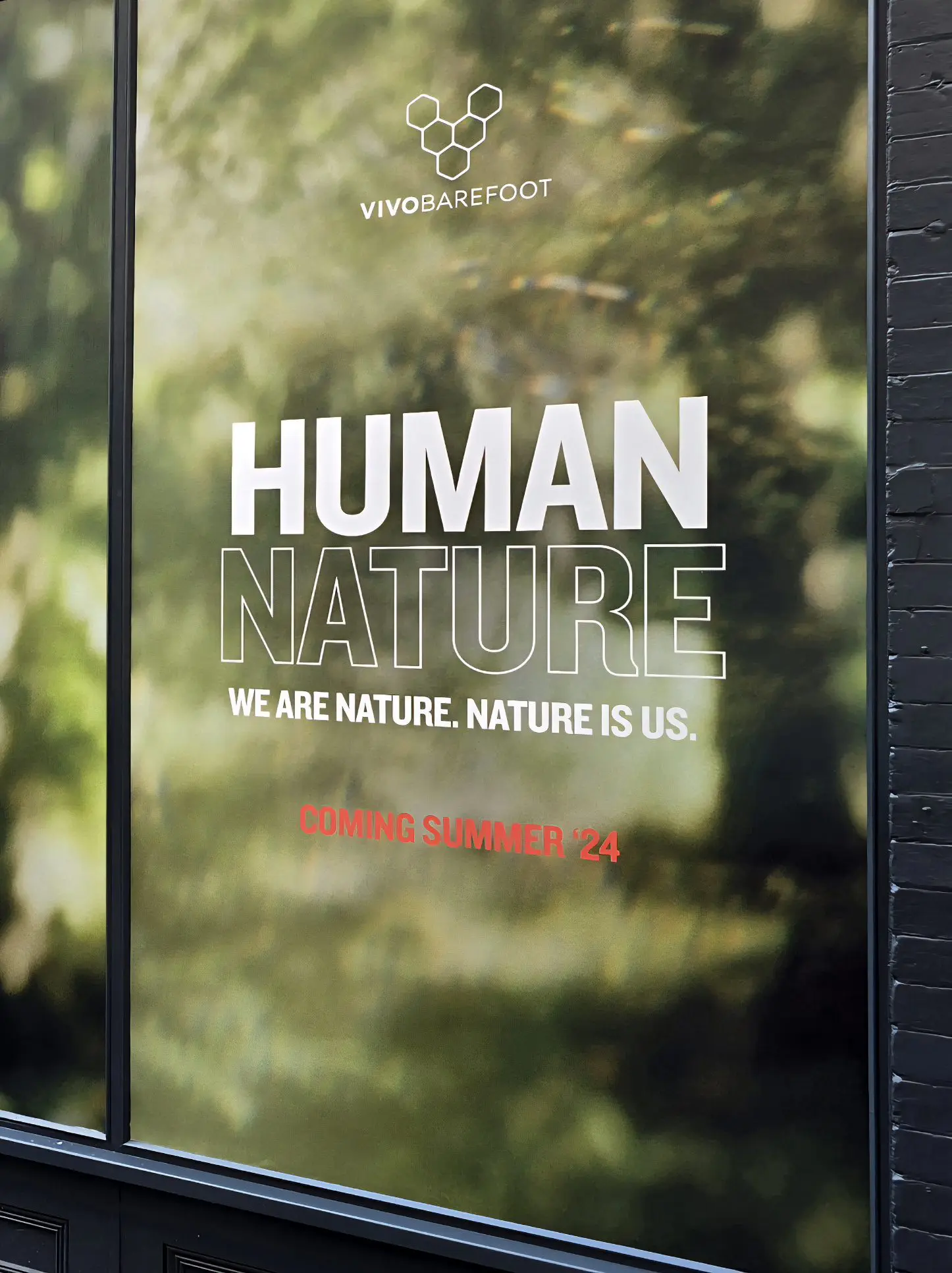 Vivo Barefoot Vinyl Window Graphics Installaton